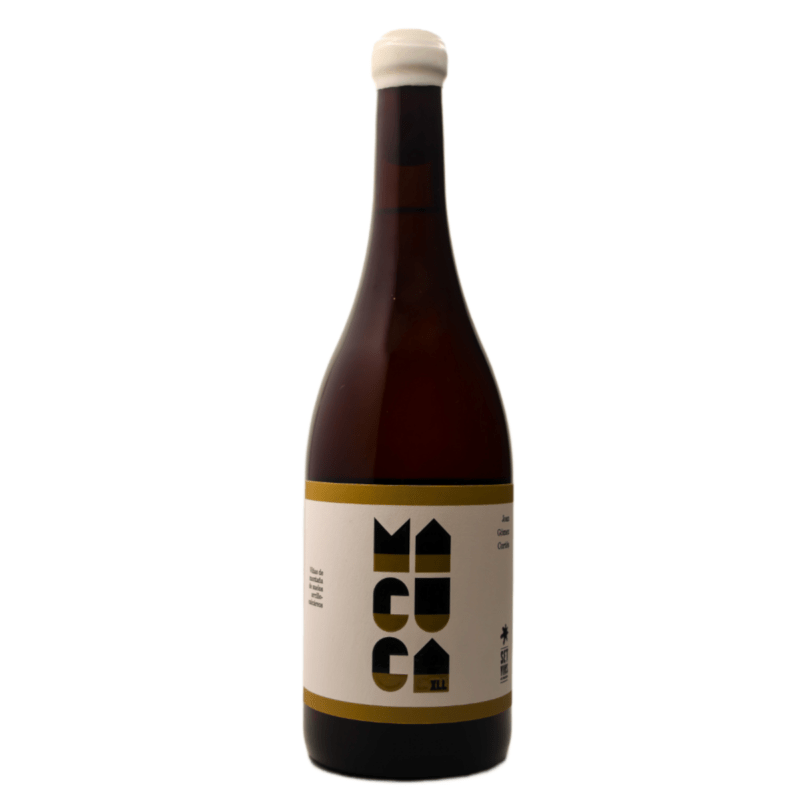 MACUCA XLL 2022